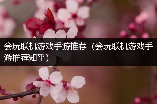 会玩联机游戏手游推荐（会玩联机游戏手游推荐知乎）