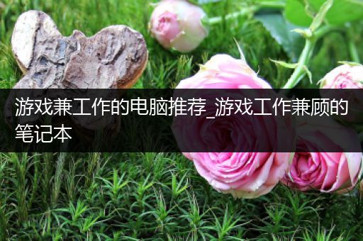 游戏兼工作的电脑推荐_游戏工作兼顾的笔记本