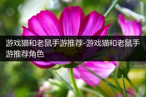 游戏猫和老鼠手游推荐-游戏猫和老鼠手游推荐角色