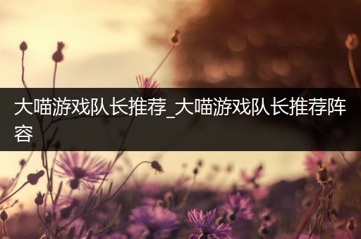大喵游戏队长推荐_大喵游戏队长推荐阵容