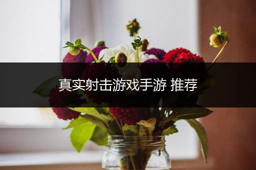 真实射击游戏手游 推荐