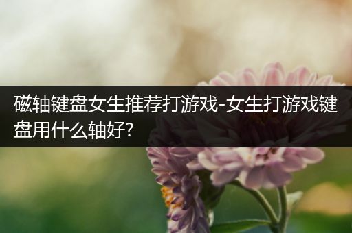 磁轴键盘女生推荐打游戏-女生打游戏键盘用什么轴好?