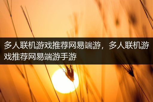 多人联机游戏推荐网易端游，多人联机游戏推荐网易端游手游