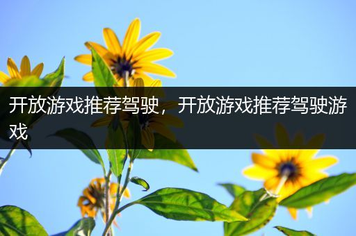 开放游戏推荐驾驶，开放游戏推荐驾驶游戏