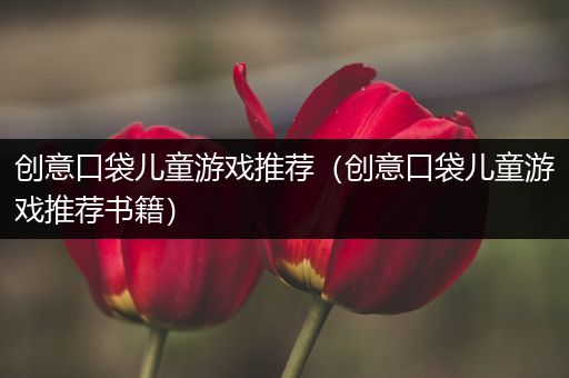 创意口袋儿童游戏推荐（创意口袋儿童游戏推荐书籍）