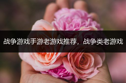 战争游戏手游老游戏推荐，战争类老游戏