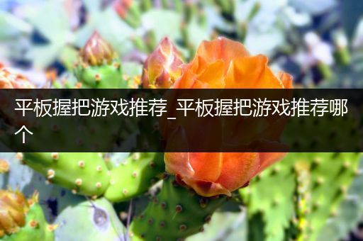 平板握把游戏推荐_平板握把游戏推荐哪个