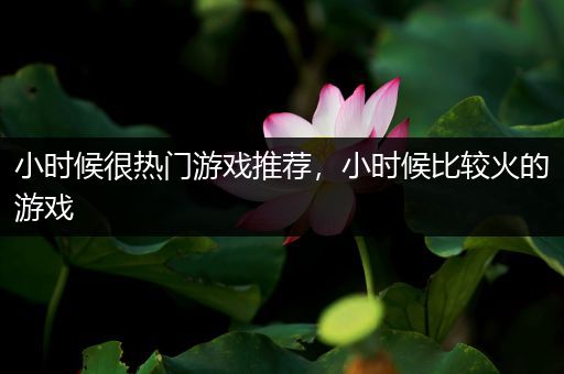 小时候很热门游戏推荐，小时候比较火的游戏