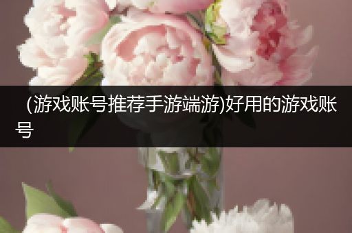 （游戏账号推荐手游端游)好用的游戏账号