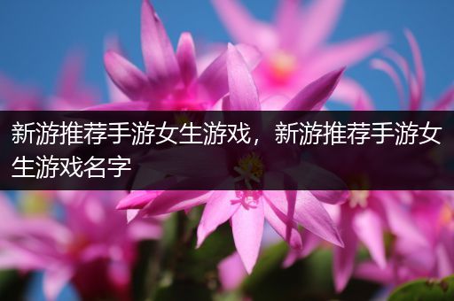 新游推荐手游女生游戏，新游推荐手游女生游戏名字