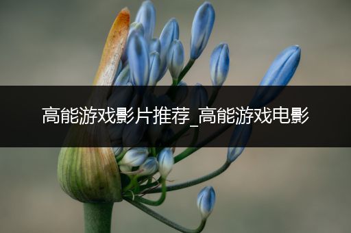 高能游戏影片推荐_高能游戏电影