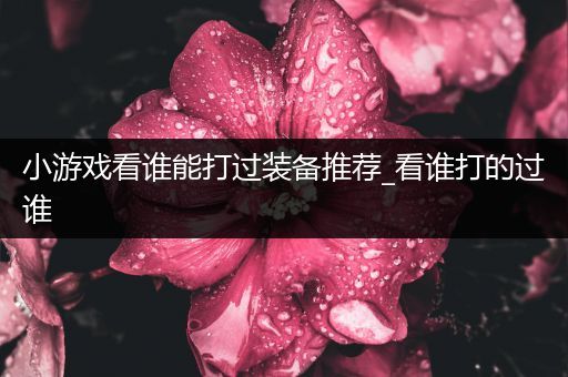 小游戏看谁能打过装备推荐_看谁打的过谁