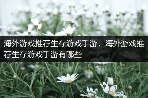 海外游戏推荐生存游戏手游，海外游戏推荐生存游戏手游有哪些