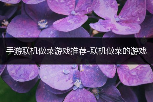 手游联机做菜游戏推荐-联机做菜的游戏