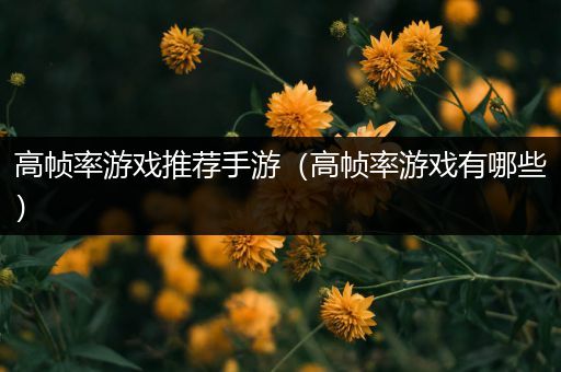 高帧率游戏推荐手游（高帧率游戏有哪些）