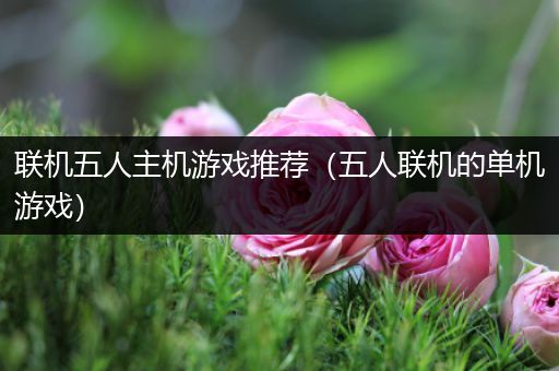 联机五人主机游戏推荐（五人联机的单机游戏）