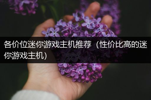 各价位迷你游戏主机推荐（性价比高的迷你游戏主机）