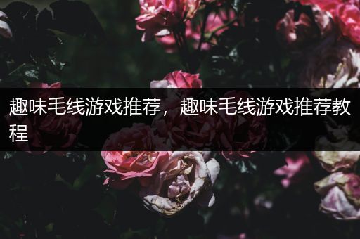 趣味毛线游戏推荐，趣味毛线游戏推荐教程