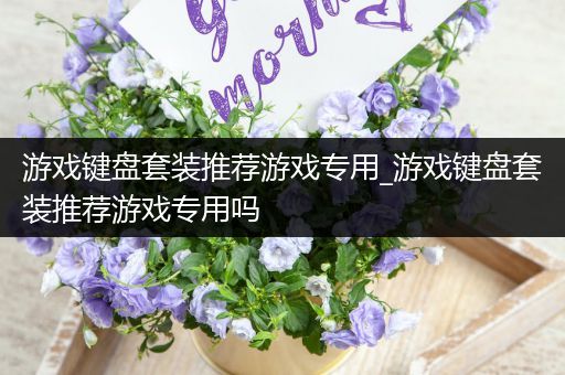 游戏键盘套装推荐游戏专用_游戏键盘套装推荐游戏专用吗