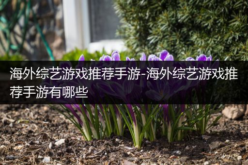 海外综艺游戏推荐手游-海外综艺游戏推荐手游有哪些