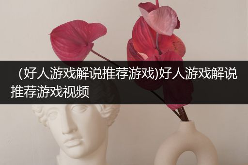 （好人游戏解说推荐游戏)好人游戏解说推荐游戏视频