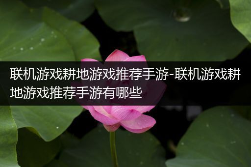 联机游戏耕地游戏推荐手游-联机游戏耕地游戏推荐手游有哪些