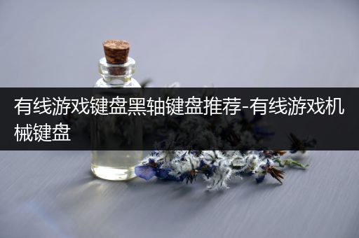 有线游戏键盘黑轴键盘推荐-有线游戏机械键盘