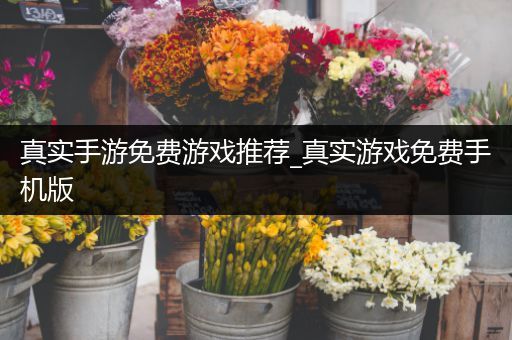 真实手游免费游戏推荐_真实游戏免费手机版