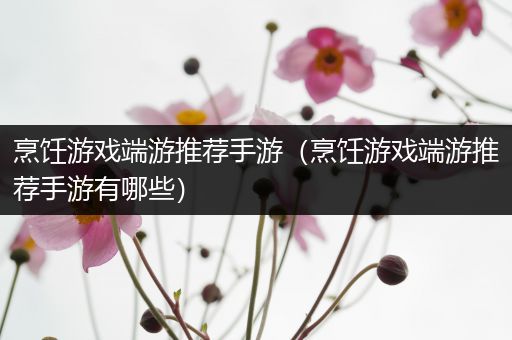 烹饪游戏端游推荐手游（烹饪游戏端游推荐手游有哪些）