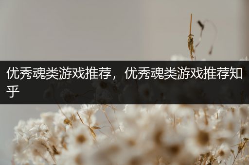 优秀魂类游戏推荐，优秀魂类游戏推荐知乎