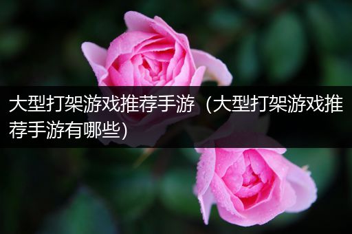 大型打架游戏推荐手游（大型打架游戏推荐手游有哪些）