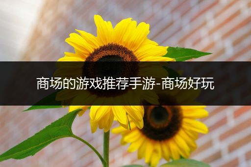 商场的游戏推荐手游-商场好玩