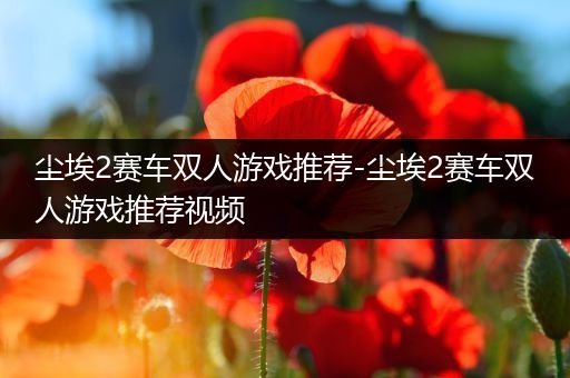 尘埃2赛车双人游戏推荐-尘埃2赛车双人游戏推荐视频