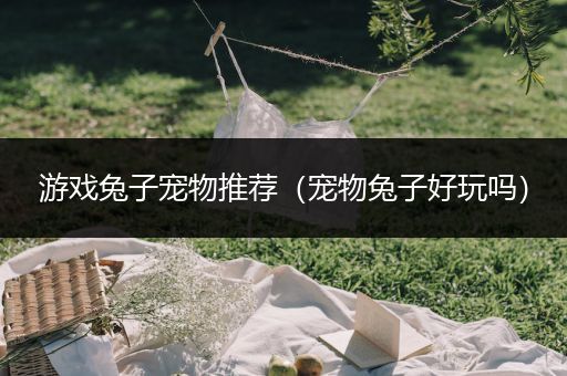 游戏兔子宠物推荐（宠物兔子好玩吗）