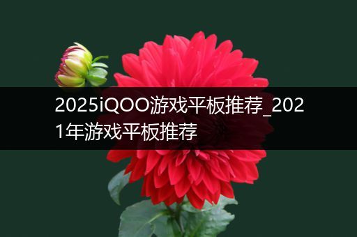 2025iQOO游戏平板推荐_2021年游戏平板推荐