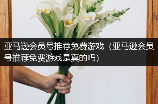 亚马逊会员号推荐免费游戏（亚马逊会员号推荐免费游戏是真的吗）