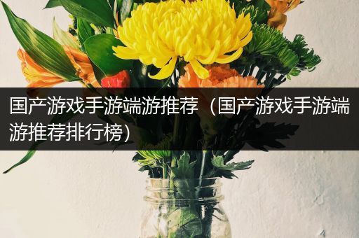 国产游戏手游端游推荐（国产游戏手游端游推荐排行榜）