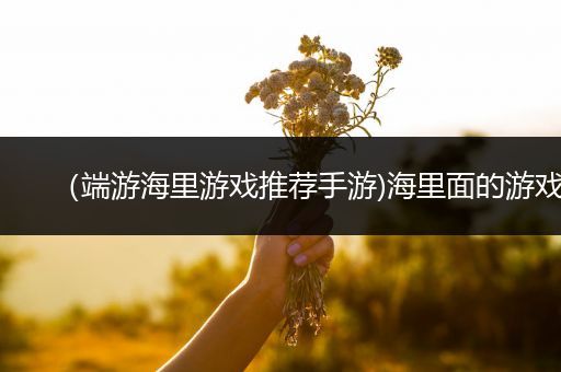 （端游海里游戏推荐手游)海里面的游戏