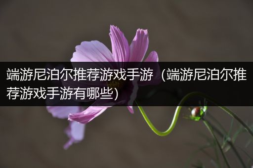 端游尼泊尔推荐游戏手游（端游尼泊尔推荐游戏手游有哪些）