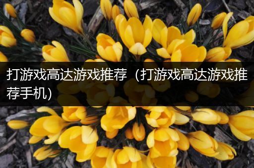 打游戏高达游戏推荐（打游戏高达游戏推荐手机）