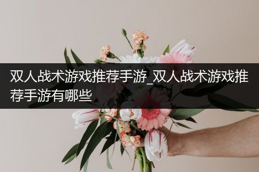 双人战术游戏推荐手游_双人战术游戏推荐手游有哪些