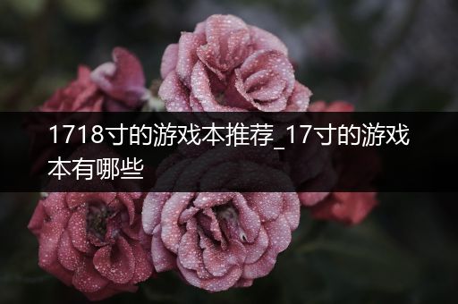 1718寸的游戏本推荐_17寸的游戏本有哪些