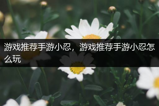 游戏推荐手游小忍，游戏推荐手游小忍怎么玩