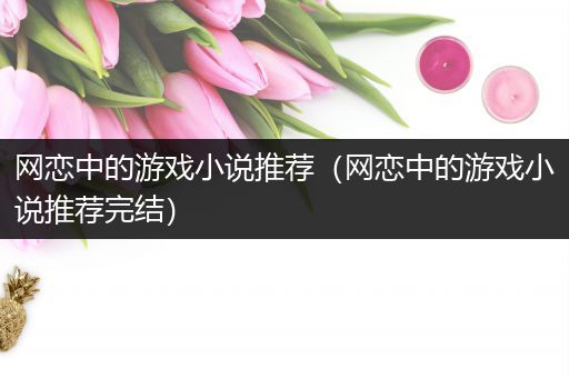 网恋中的游戏小说推荐（网恋中的游戏小说推荐完结）