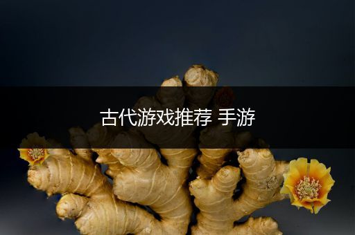 古代游戏推荐 手游
