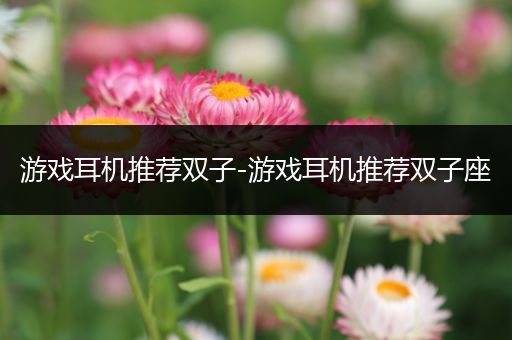 游戏耳机推荐双子-游戏耳机推荐双子座
