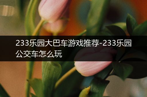 233乐园大巴车游戏推荐-233乐园公交车怎么玩