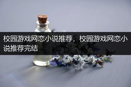 校园游戏网恋小说推荐，校园游戏网恋小说推荐完结