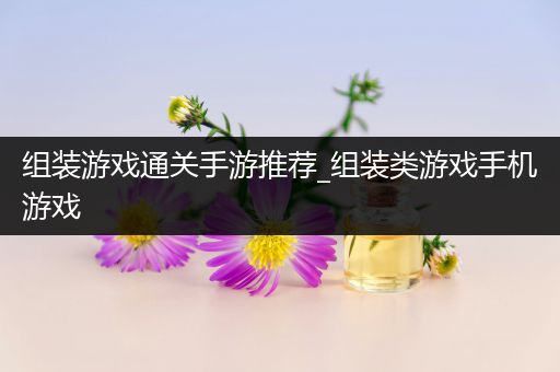 组装游戏通关手游推荐_组装类游戏手机游戏