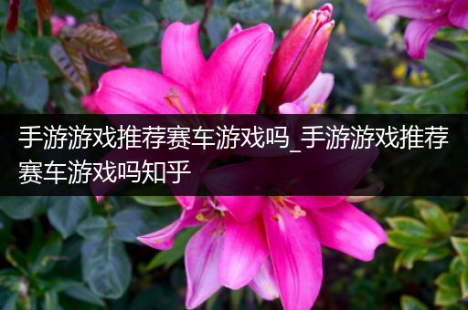 手游游戏推荐赛车游戏吗_手游游戏推荐赛车游戏吗知乎